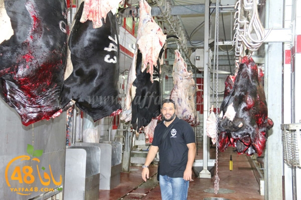 Jam3iya ada7ya (2).jpg